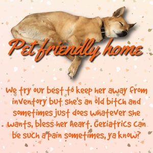 🌈 🐾 Sweet Bella Crossed the Rainbow Bridge on 2/28/23 🐾  🌈